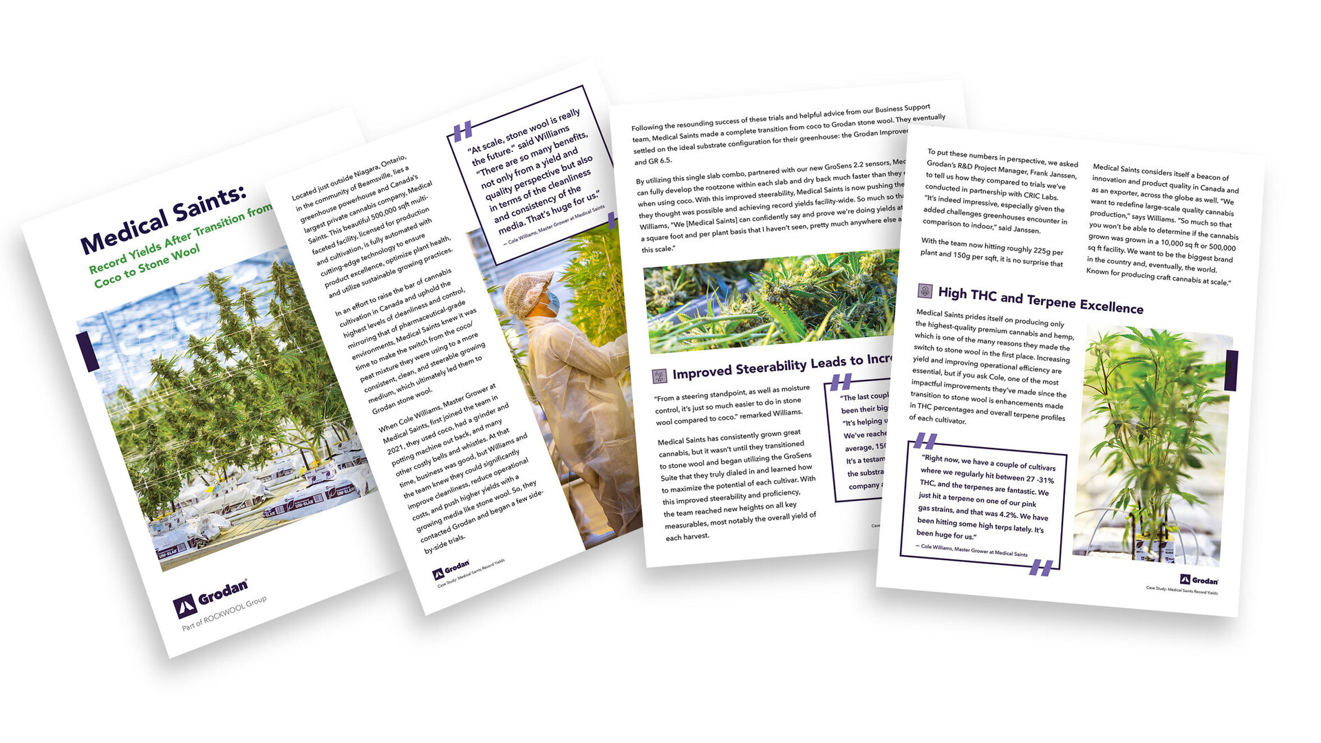 Medical Saints Case Study Thumbnail