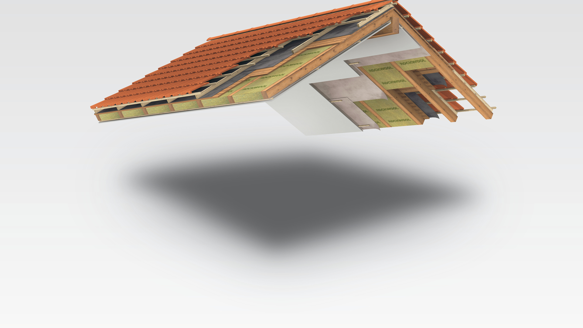 181022 RW LAT ILLU 22