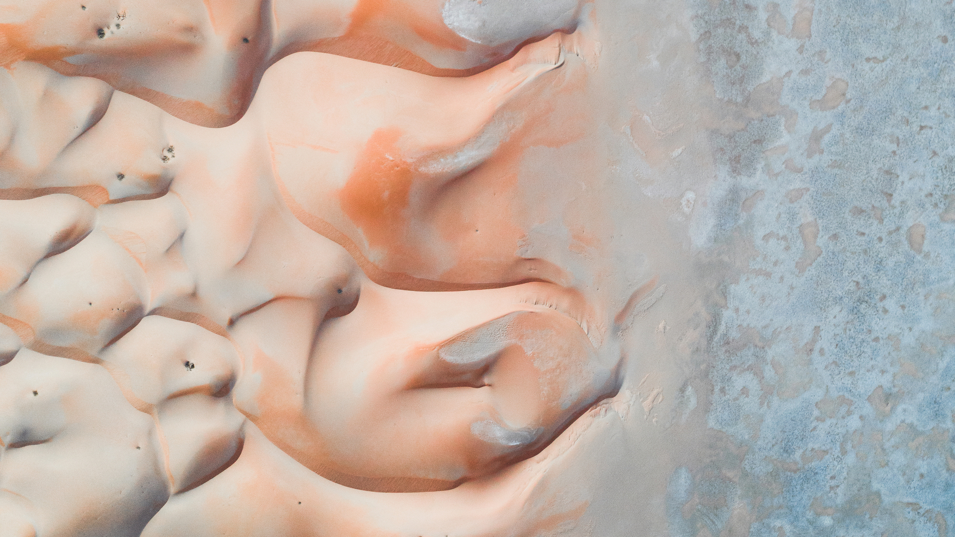 20210322 RW-RF PHO 7735