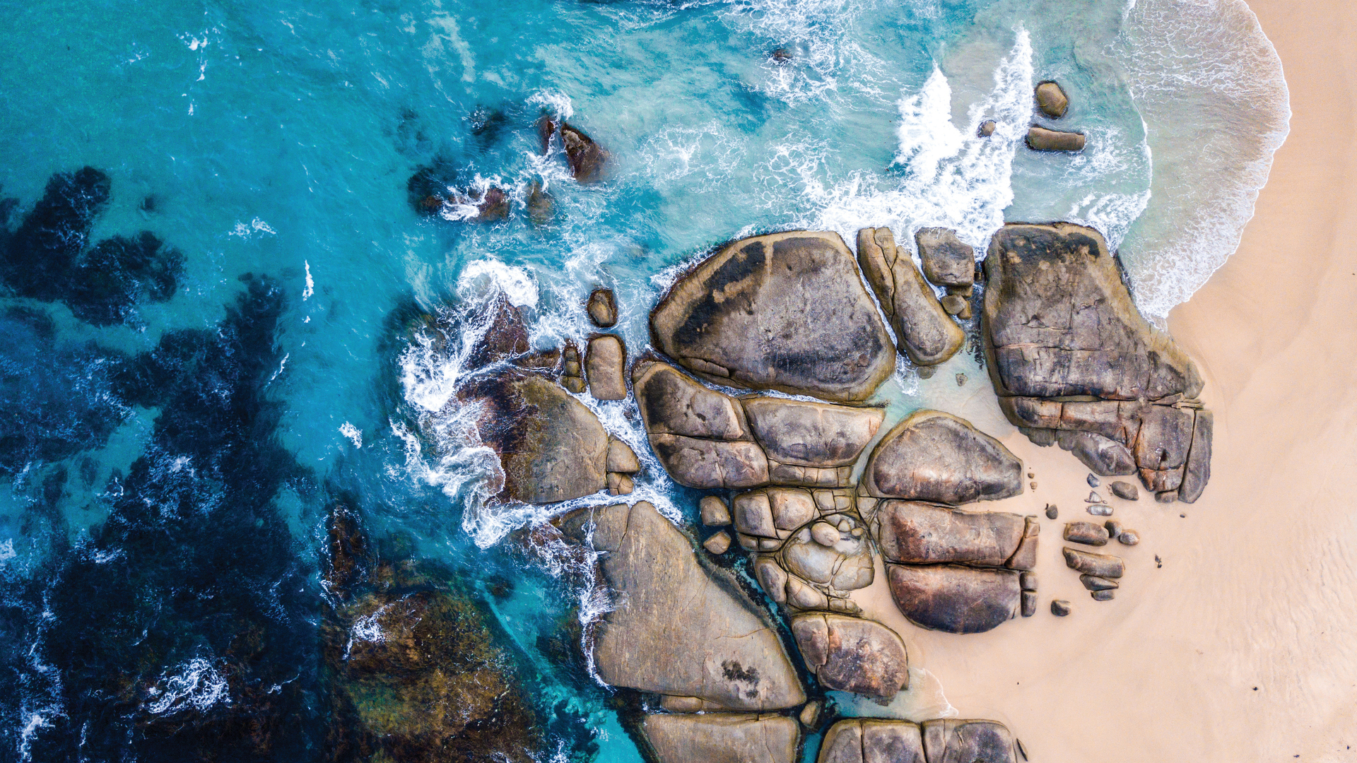 20210322 RW-RF PHO 7754