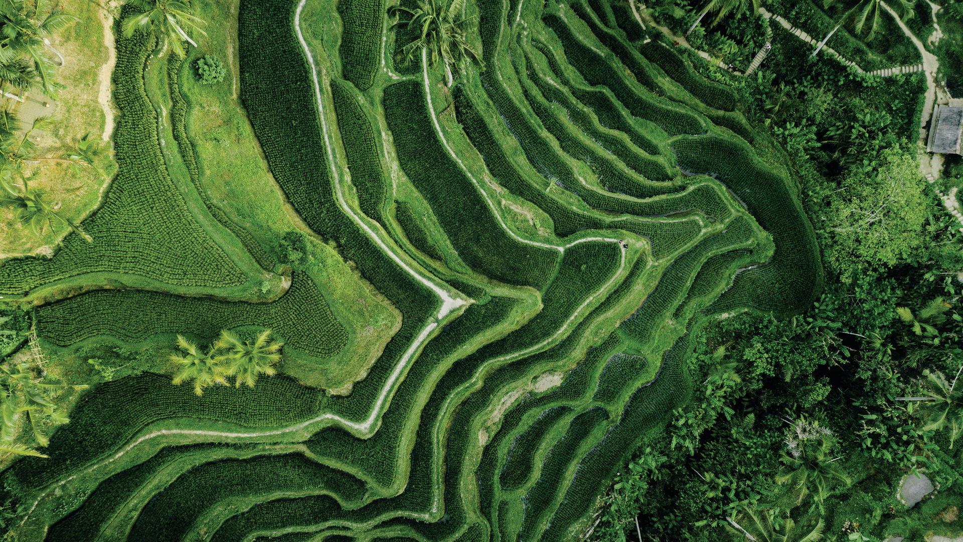 20210322 RW-RF PHO 7758